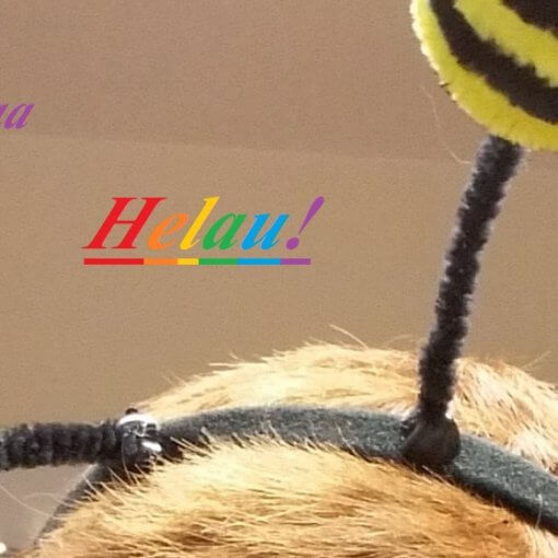 beitragsbild Karneval UH