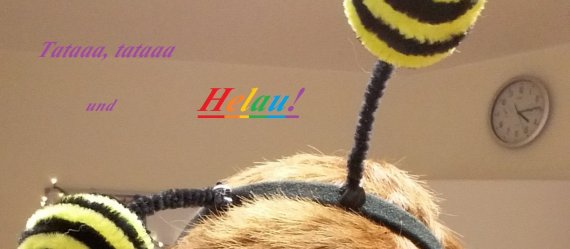 beitragsbild Karneval UH